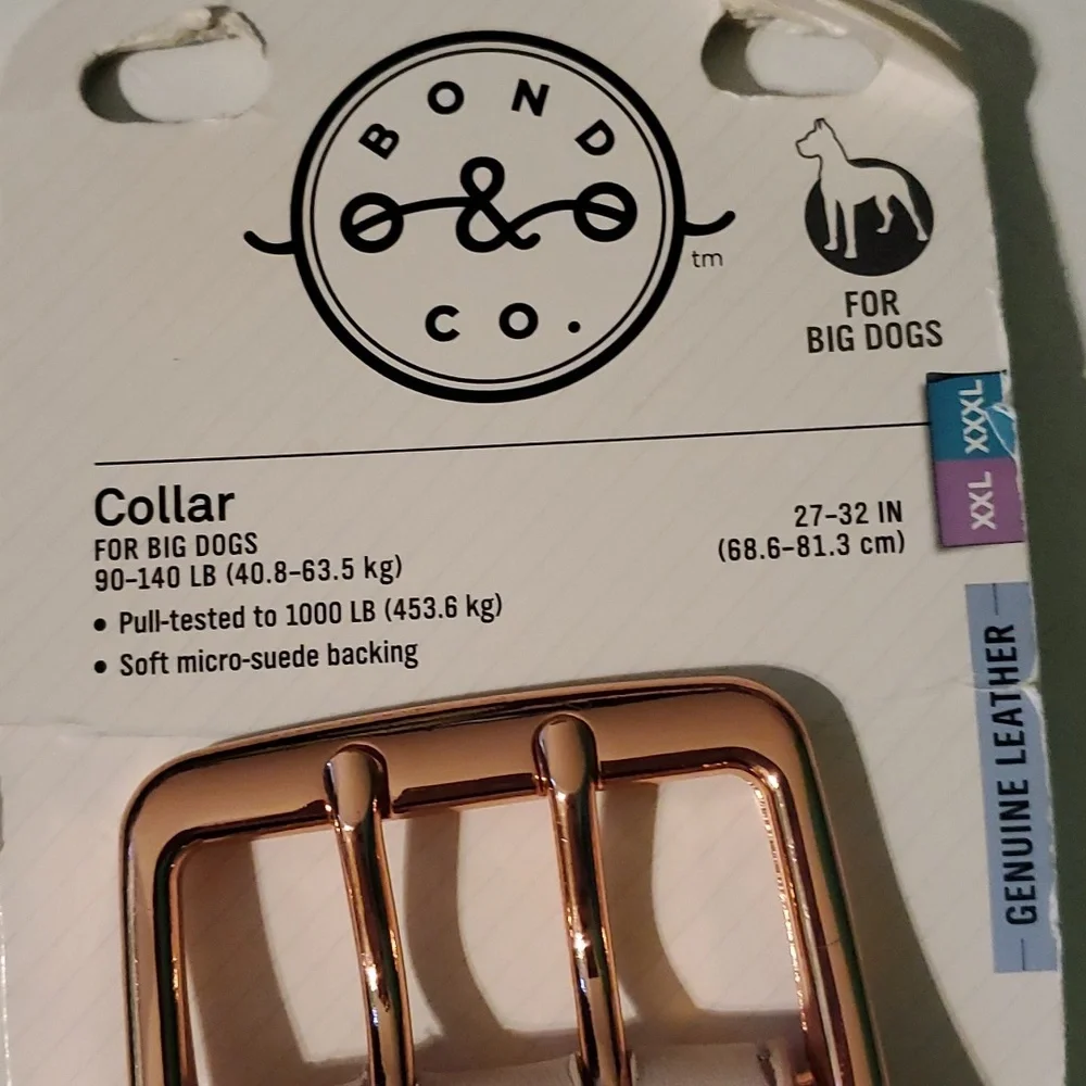 Bond & Co. Cream Studded Dog Collar